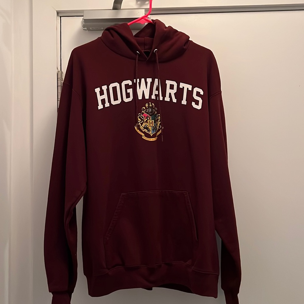 Hogwarts (Harry Potter) Champion Hoodie (Size Large)